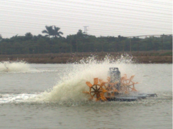 水車式增氧機